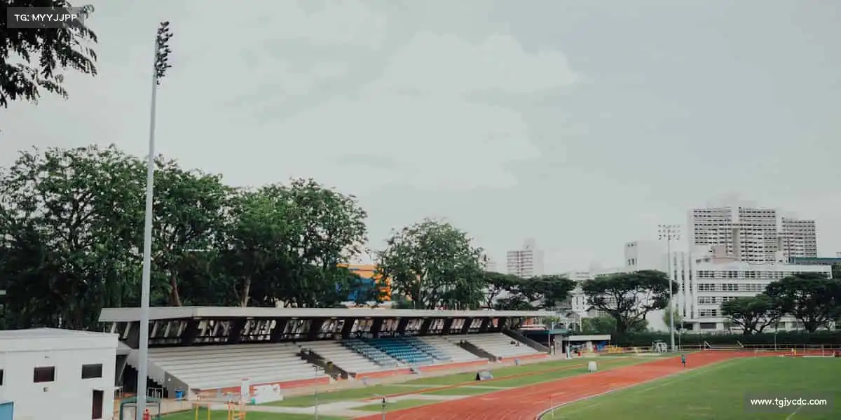 为什么选择我们